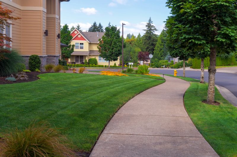 Sidewalk Paving in Denver, CO